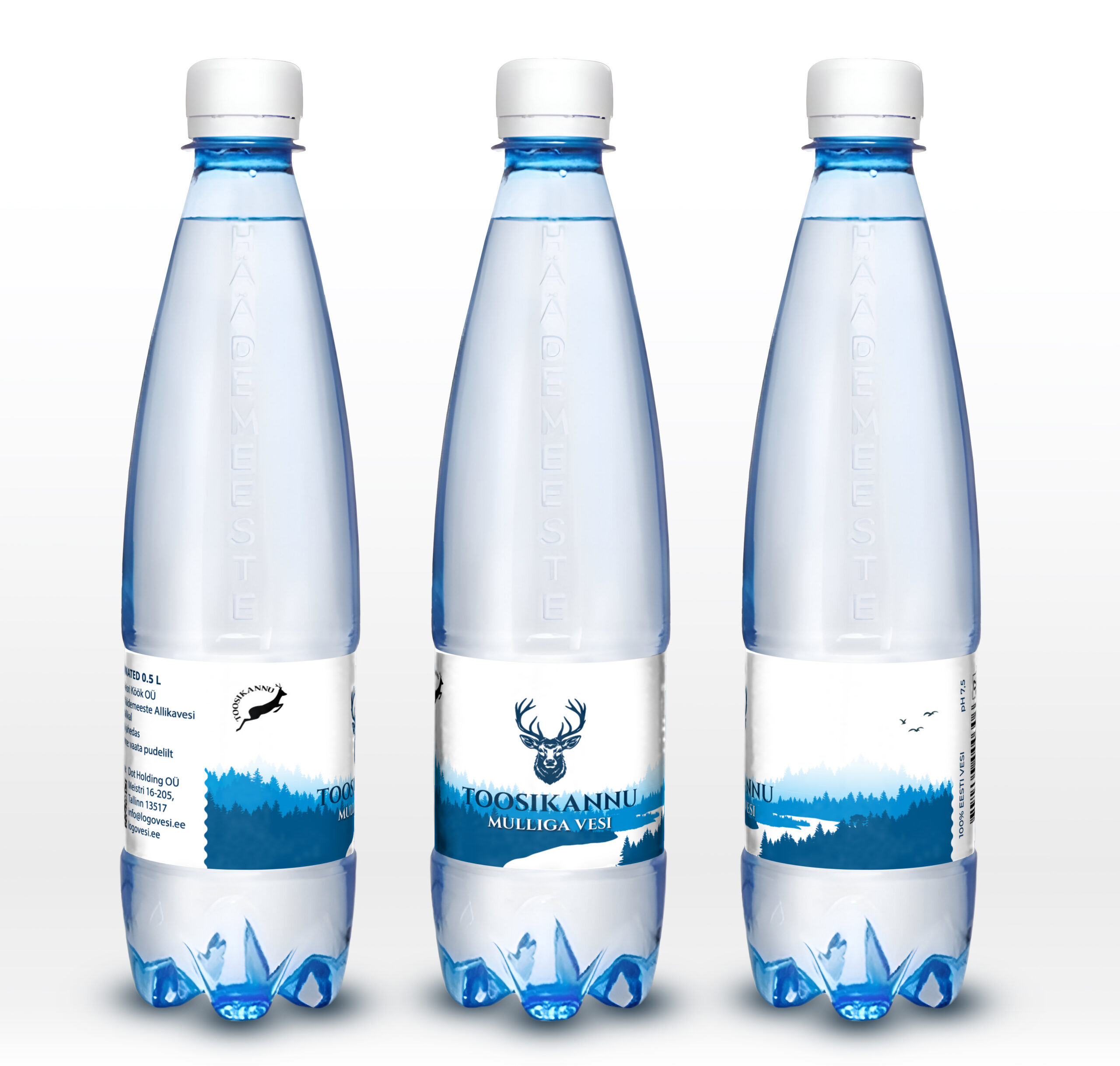 Toosikannu mulliga mockup