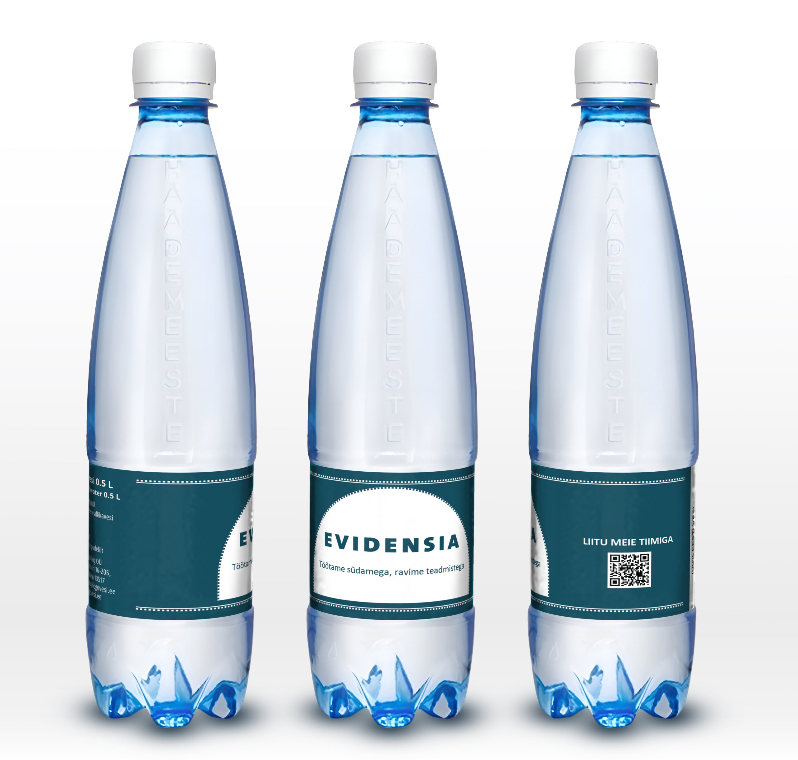 evidensia gaseeritud mockup