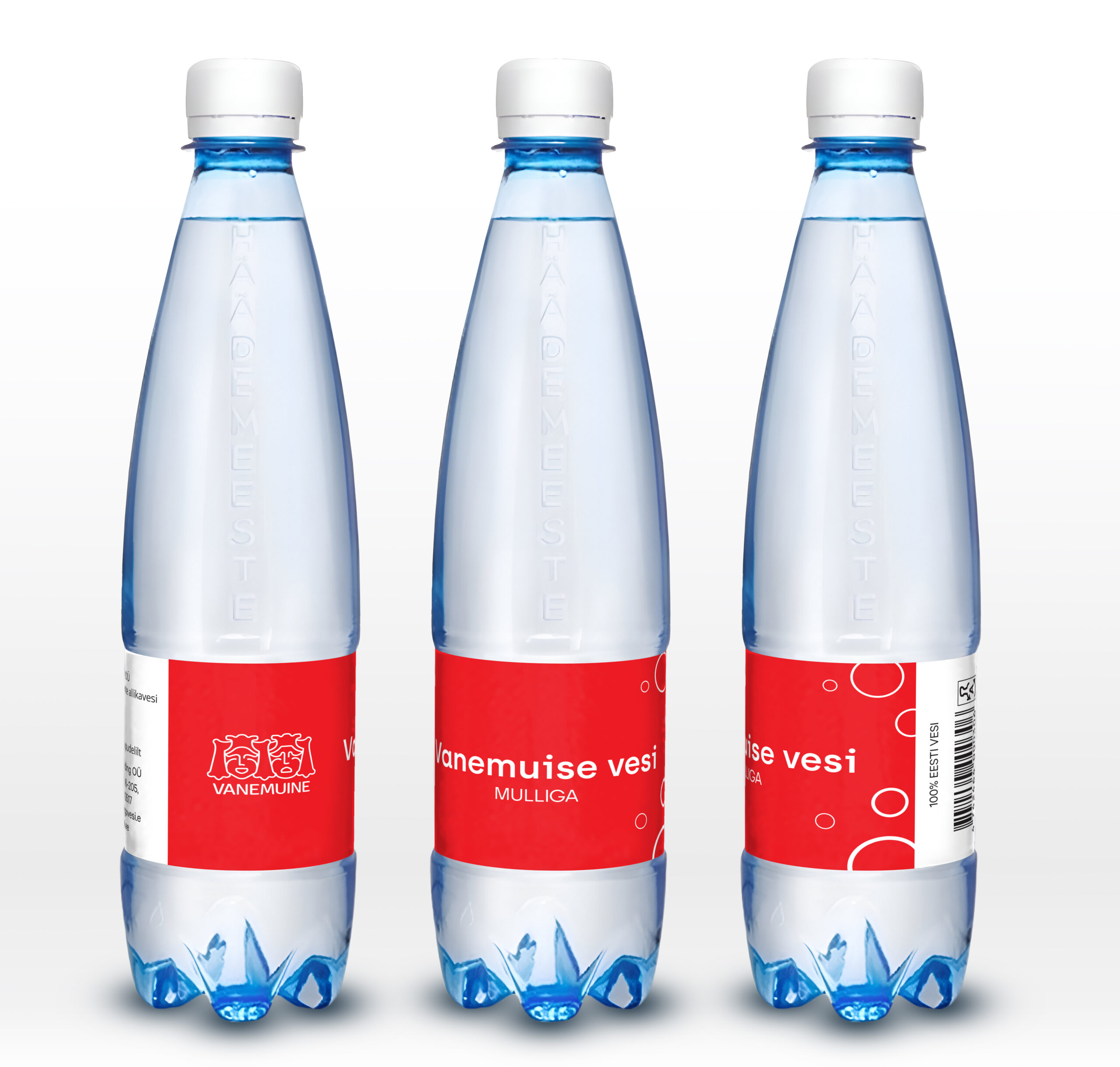 vanemuise mulliga mockup